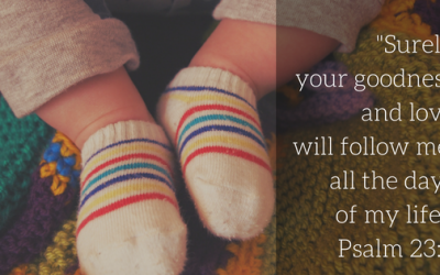 Celebrating Sanctity of Human Life – January 2018